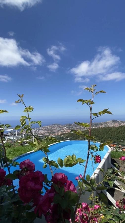 Studio Geek Villa - Open Space - 5M From 5 Top Attractions - Pool All Year Round, Dining Pergola, Barbecue - Funchal Matrix Holiday Home Exterior foto