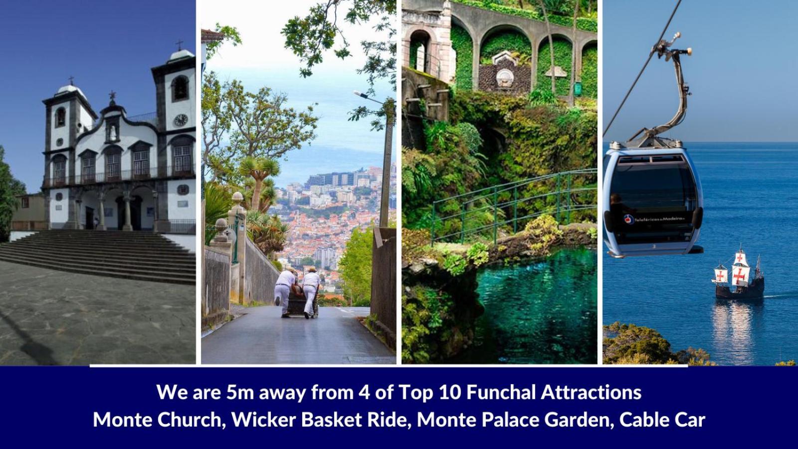Studio Geek Villa - Open Space - 5M From 5 Top Attractions - Pool All Year Round, Dining Pergola, Barbecue - Funchal Matrix Holiday Home Exterior foto